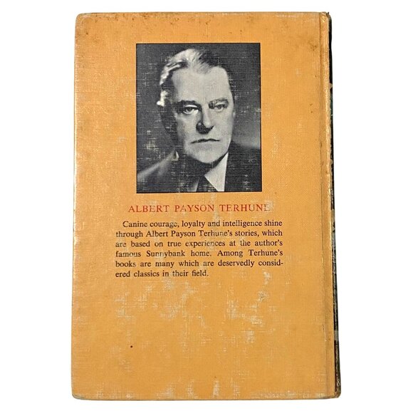 A Dog Named Chips The Life and Adventures of a Mongrel Scamp HC Book Terhune - Picture 2 of 8